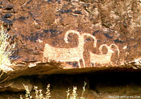 Petroglyphs - Canyons Green River, Utah | Bill Dvorak Rafting, Kayak & Fish Exp.Since 1969 | Image #15/18 | 