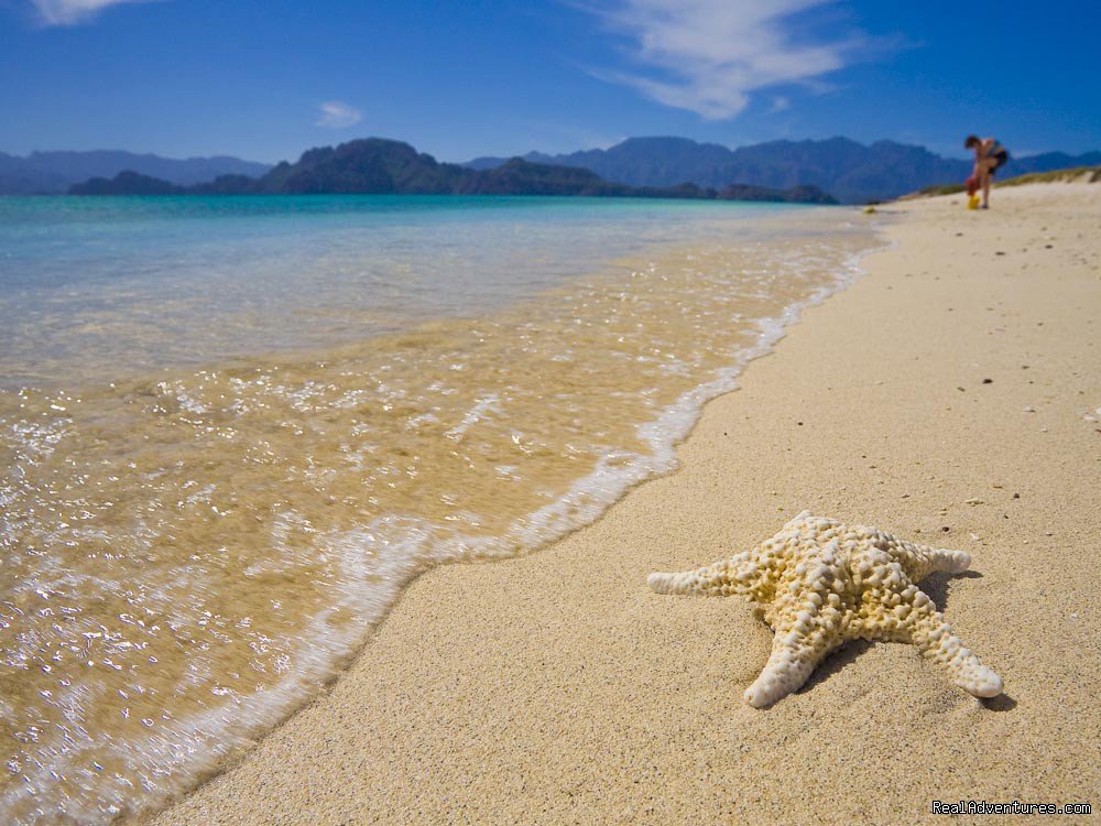 Carmen Island, Loreto, Baja - pristine beach | Sea Kayak Vacations & Whale Adventures in Baja/BC | Image #5/25 | 