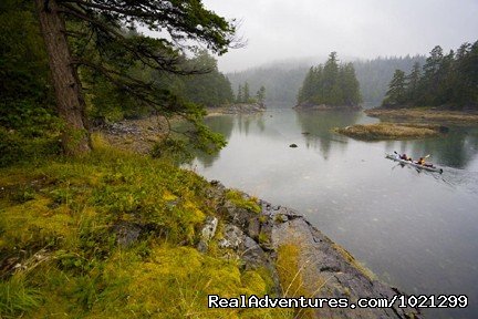 Johnstone Strait - pristine wilderness | Sea Kayak Vacations & Whale Adventures in Baja/BC | Image #22/25 | 