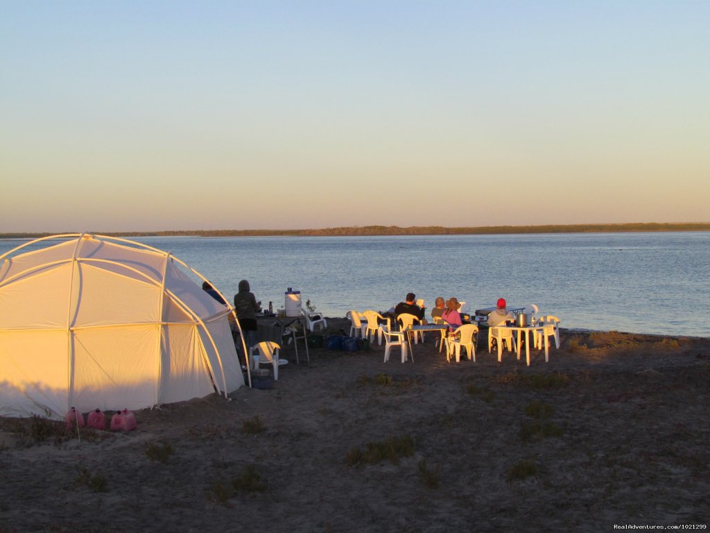 Watch whales right from shore on our gray whale camps | Sea Kayak Vacations & Whale Adventures in Baja/BC | Image #12/25 | 