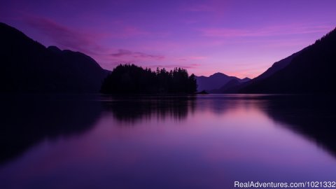 Scenic Great Bear Rainforest