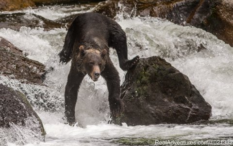 Fishing the River