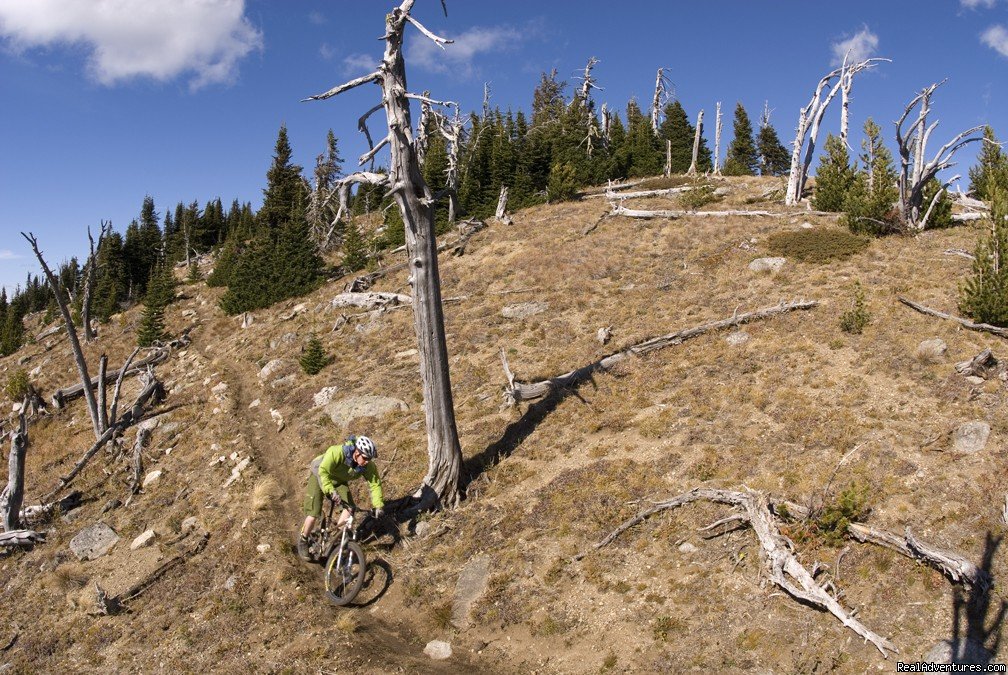 Award-Winning Singletrack Adventures | Image #9/25 | 