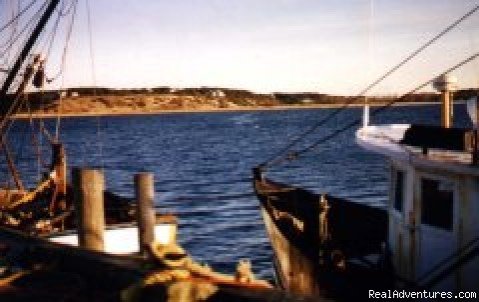 House seen from harbor | Harbor View House | Wellfleet, Massachusetts  | Vacation Rentals | Image #1/4 | 