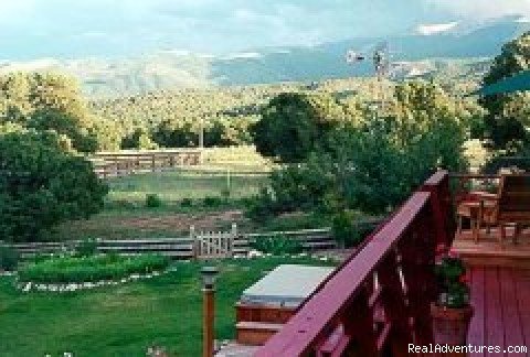 Back Deck View | The Tudor Rose Bed & Breakfast | Image #3/8 | 