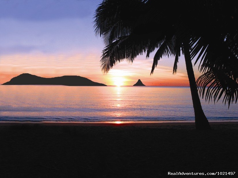 Sunrise Palm Cove | Oasis at Palm Cove | Image #15/15 | 