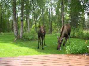 Casperhouse B&b | Soldotna, Kenai Peninsula, Alaska | Bed & Breakfasts