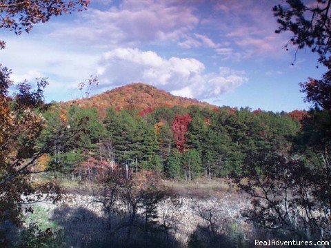 View from MacLeod and MacGregor cabin | Luxury Log Cabin Rentals with Hot Tub | Image #2/19 | 