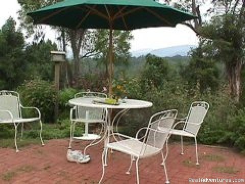 Patio Area 1 | Edgewood Farm Bed & Breakfast | Image #2/6 | 