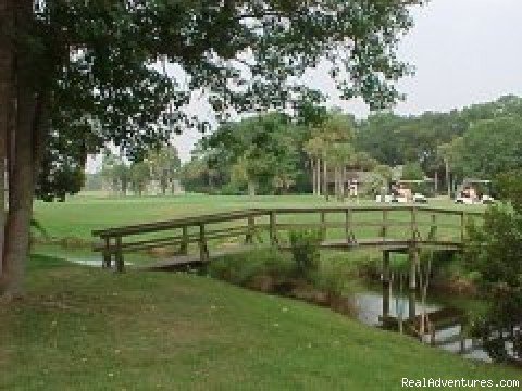 View from backyard | Hilton Head Island Beach and Golf Home | Image #2/8 | 