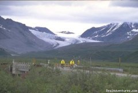 Photo #3 | Alaskan Bicycle Adventures | Image #2/2 | 