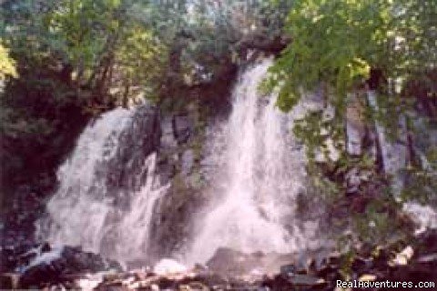 Bridal Fall