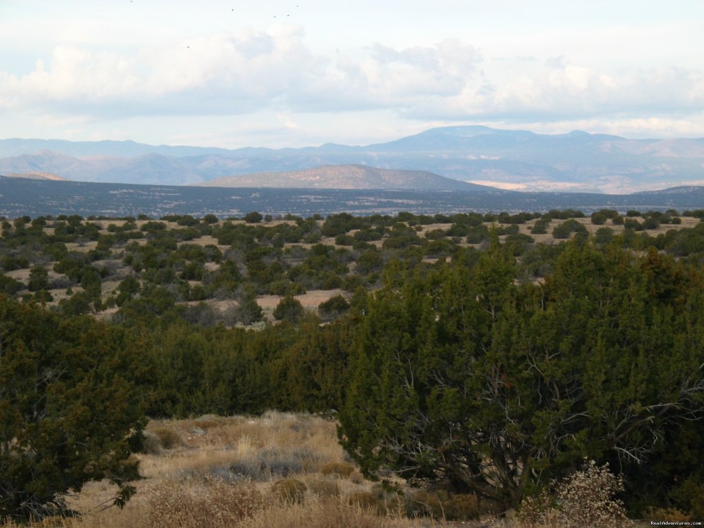 View from guest bedroom | Luxury home with privacy and spectacular views | Image #22/26 | 