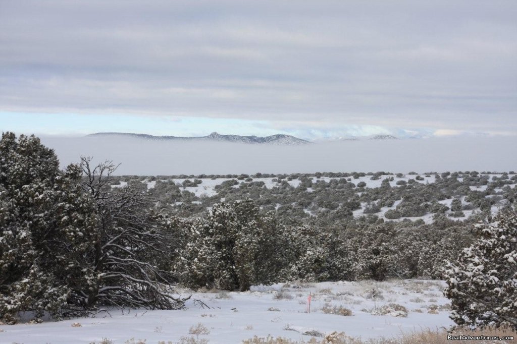 snow covered landscape | Luxury home with privacy and spectacular views | Image #24/26 | 