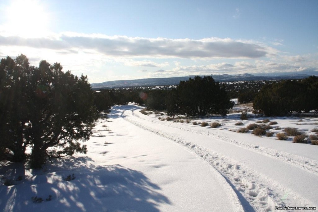 snow path to garage | Luxury home with privacy and spectacular views | Image #26/26 | 