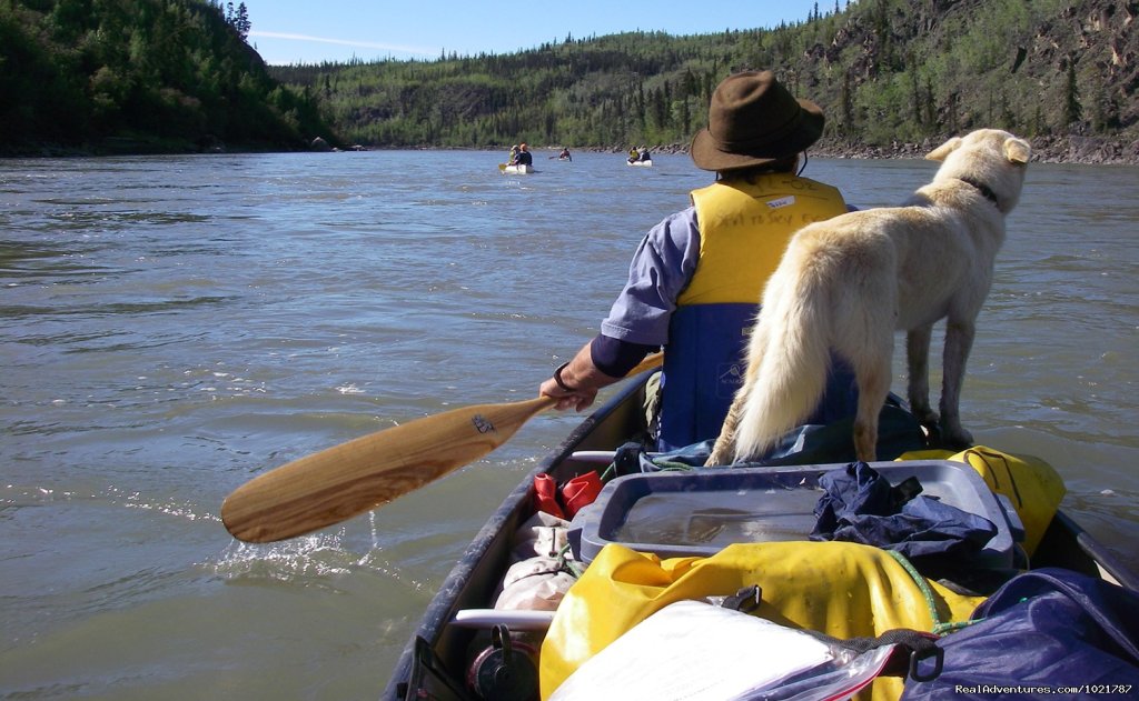 Yukon River: River Of Dreams | Image #5/5 | 