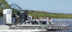 Nature and Wildlife Adventures Florida | Melbourne Beach, Florida | Eco Tours