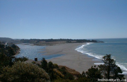 Where the river meets the sea!