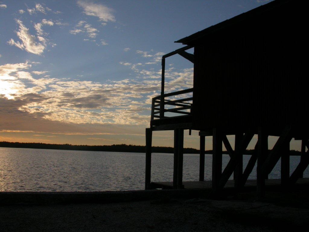 Everglades Day Safari | Image #12/21 | 