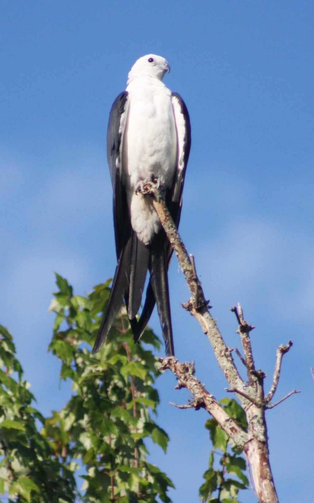 Everglades Day Safari | Image #21/21 | 