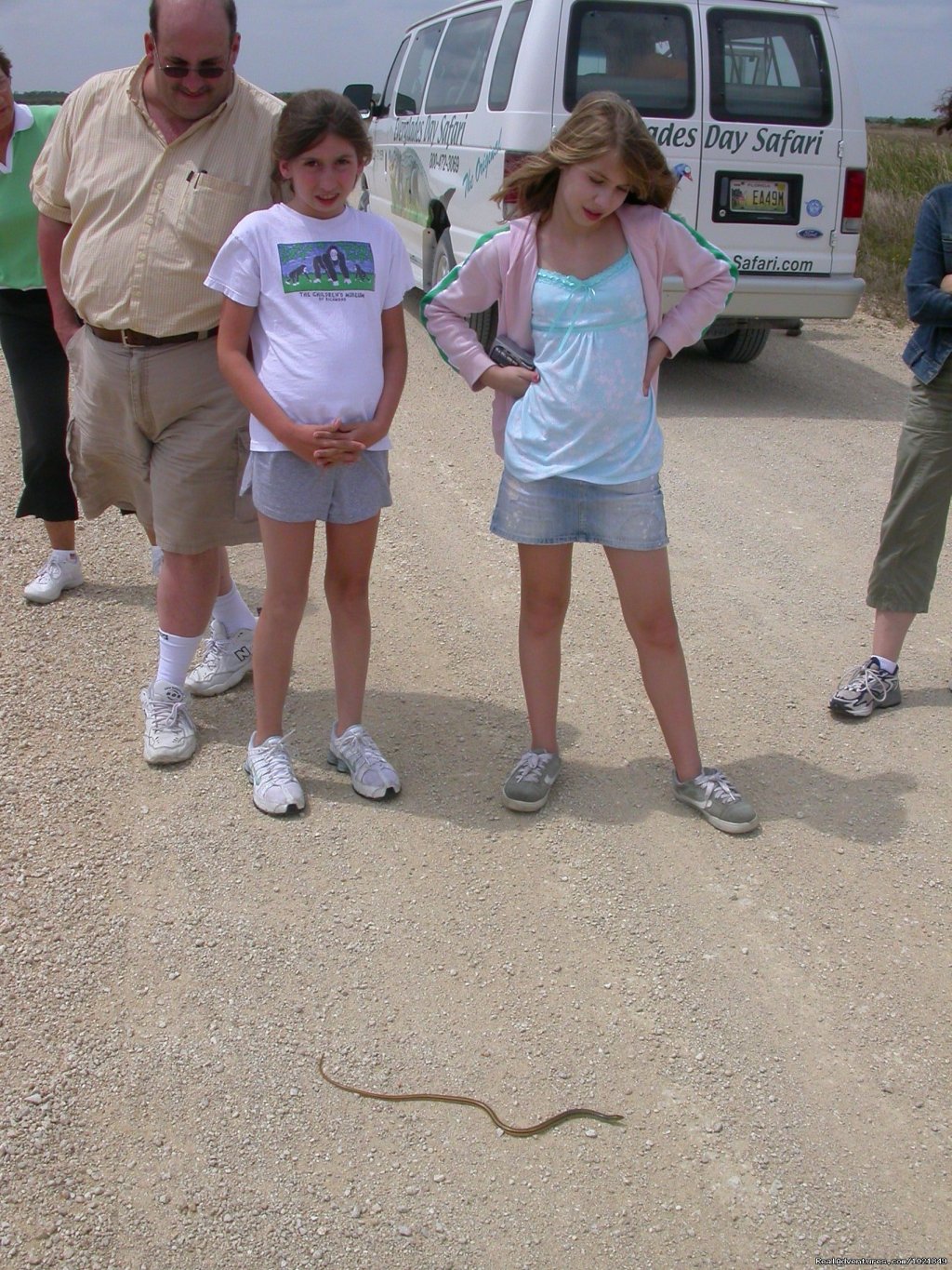 Everglades Day Safari | Image #2/21 | 