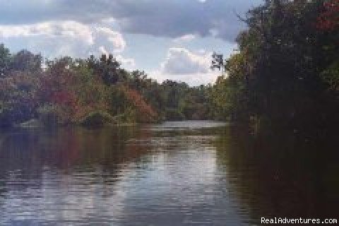 Photo #5 | Katie's Wekiva River Landing | Image #5/6 | 