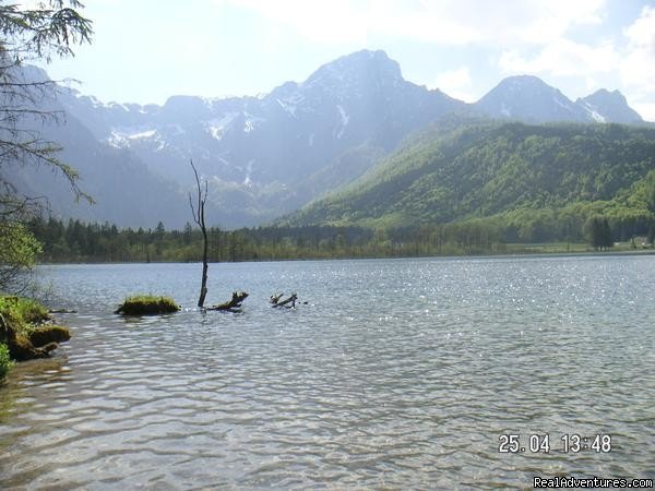 Lake Almsee | The TreeHouse Backpacker Hotel | Image #5/10 | 