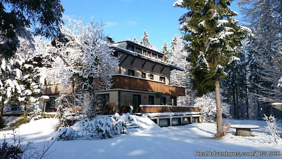 The TreeHouse Backpacker Hotel | Image #4/10 | 