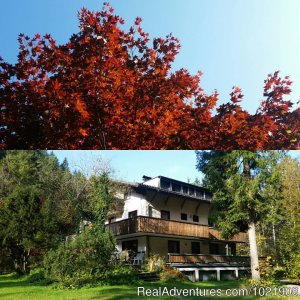 The TreeHouse Backpacker Hotel