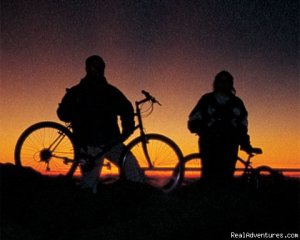 Downhill Bike Maui At Your Own Pace | Haiku, Hawaii | Bike Tours