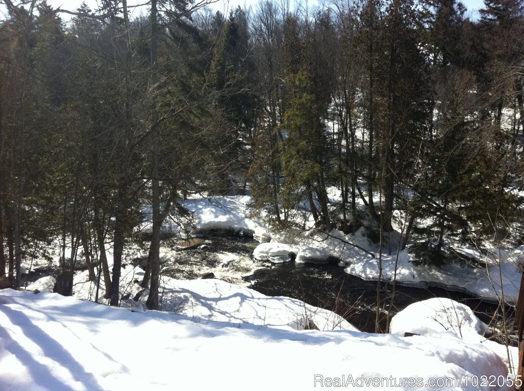 Dog sledding at Auberge and Nordic Spa Beaux Reves | Image #17/17 | 