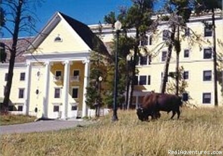 Viewing Mystic Falls | Yellowstone and Teton National Parks | Image #4/8 | 