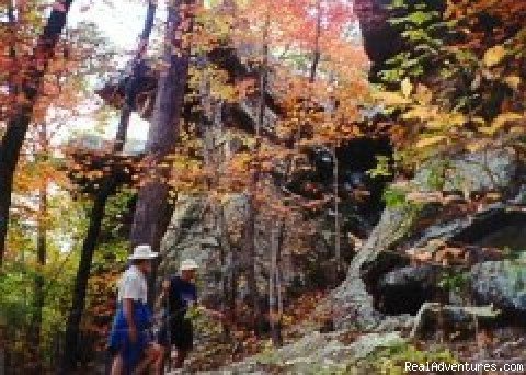 Photo #1 | Buffalo River National Park | Ozarks, Arkansas  | Hiking & Trekking | Image #1/5 | 