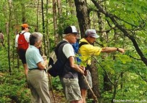 Photo #5 | Buffalo River National Park | Image #5/5 | 