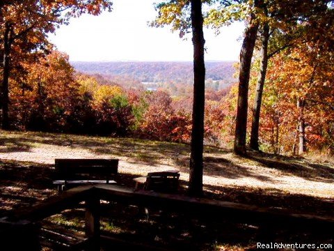 ROCK EDDY BLUFF FARM - A Scenic Ozark Getaway | Image #6/12 | 