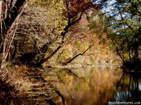 ROCK EDDY BLUFF FARM - A Scenic Ozark Getaway | Image #8/12 | 