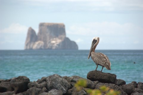 Kicker Rock in the distance