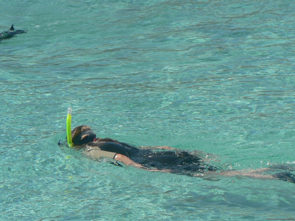 Underwater world | Explore the Galapagos Islands with Andean Trails | Image #10/22 | 