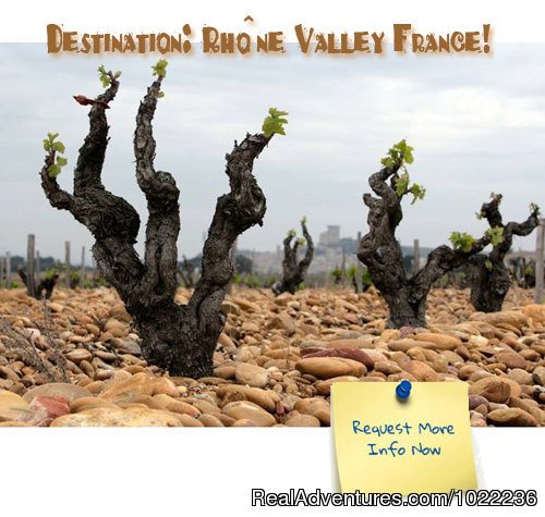 Splash Wine Tours | Splash Wine Tours to France | Chateauneuf du Pape, France | Cooking Classes & Wine Tasting | Image #1/3 | 