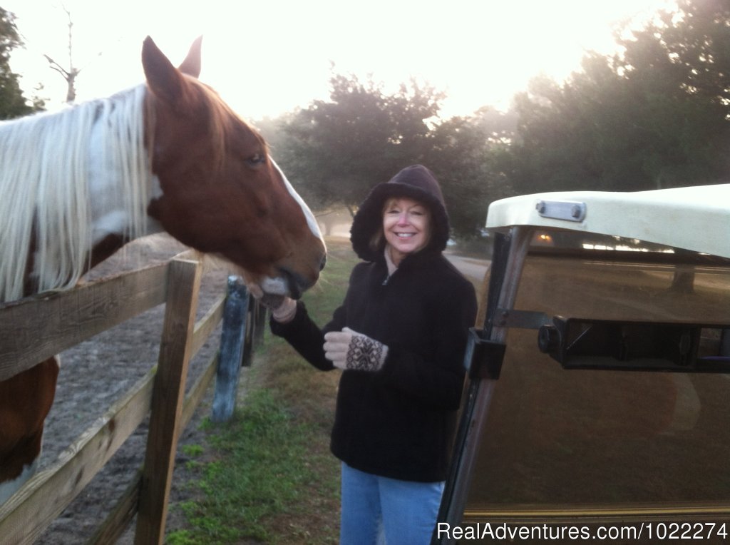 Millcreek Retirement Home for Horses | Historic Inn & Romantic B & B - Grady House | Image #14/14 | 