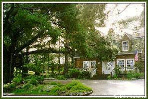 Main Log House | J. Patrick House | Cambria, California  | Bed & Breakfasts | Image #1/5 | 