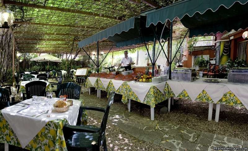 Garden/Restaurant | Hotel delle Muse | Image #3/10 | 