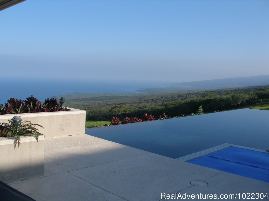 Jacuzzi & infinity pool | Horizon Guest House | Image #6/13 | 