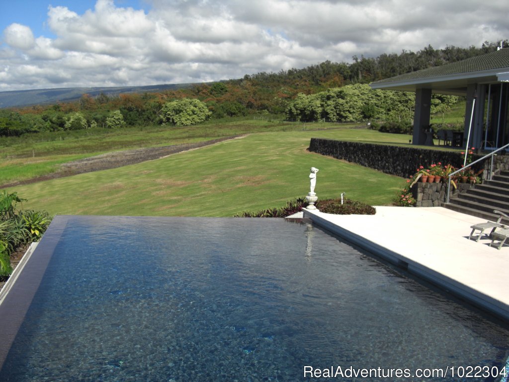 Infinity pool | Horizon Guest House | Image #10/13 | 