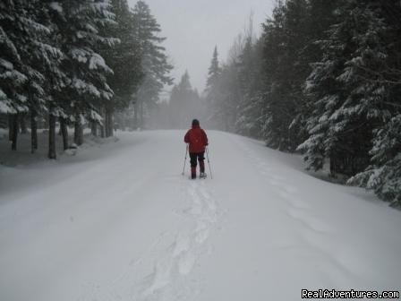 Snowshoeing in Lily Bay Park