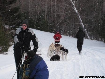 Dog sledding near Moosehead Lake