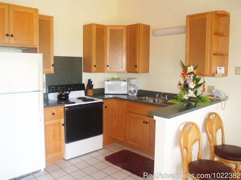 One Bedroom Full Kitchen