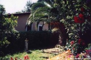 Roma Bed And Breakfast i  | Roma, Italy | Bed & Breakfasts