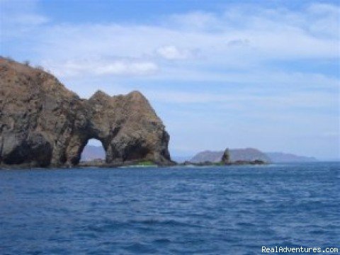 Costa Rica Bat Islands with Bill Beard | Costa Rica Beach-Mountain Adventure 11 Day/10 Nts | Image #4/22 | 