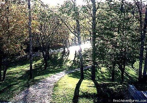 View from bedrooms | Gold River Estate Bed and Breakfast | Image #4/7 | 